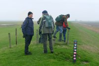 dijk Hoek van de Bant 