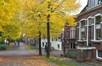 herfst Noorderbolwerk Dokkum (22 okt '12) 