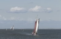 vloot tussen Harlingen en Terschelling 1 