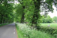 Muntsewei Veenklooster Triemen 2 (24 mei '17) 