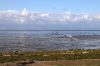 het Wad bij Wierum/Nes 2 sep 2019 