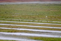 Lauwersmeer Oostmahorn Ezumazijl 