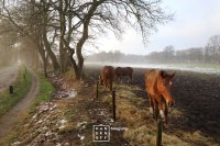 Stroomdal Drentsche Aa - De mist komt over het land, als de temperatuur stijgt