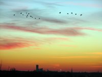 Rijpkerkerpolder en Leeuwarden, avondlucht 2 (8 feb '08) 