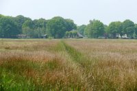 natuurgebied Reestdal, Overijssel 2 (mei 2016) 