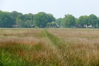 natuurgebied Reestdal, Overijssel 2 (mei 2016) 