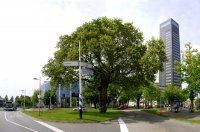 Stationsplein Leeuwarden (1 jun '05) 