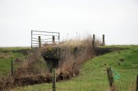 zomerdijk Peazemerlannen 