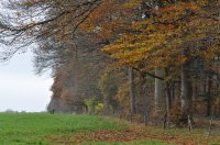 Havelterberg - Darp, bij Steenwijk 3 (nov 2010) 