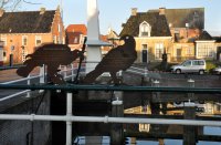 Woudpoortsbrug Dokkum (15 nov '12) 