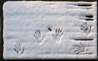 'hand'tekening (30 jan '10) 