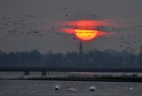 zonsopkomst Grote Wielen Giekerk (14 feb '15) 