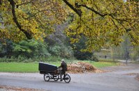 Bakfietsverhuizing Noorderplantsoen nov 2011