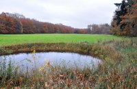 Havelterberg - Darp, bij Steenwijk 8 (nov 2010) 