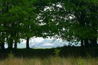 natuurgebied Reestdal, Overijssel 8 (mei 2016) 