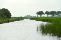 Blokzijlseweg, Nat. Park Weerribben (juli 2016) 