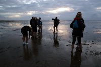 even stil staan om naar de vogels te luisteren, die bij donker dichterbij durven komen 2 sep 2019 