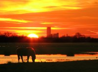 Rijpkerkerpolder en Leeuwarden, avondlucht 1 (8 feb '08) 