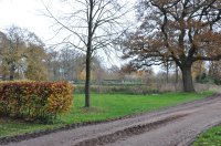 landgoed De Eese bij Steenwijk 7 (nov 2010) 