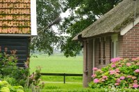 bezem aan de gevel in gehucht 'Nederland', Nat. Park Weerribben (juli 2016) 