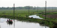 Butenfjild, De Wiel, Veenwouden (3 mei '07) 