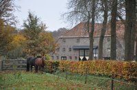 landgoed De Eese bij Steenwijk 15 (nov 2010) 