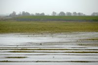 Lauwersmeer Oostmahorn Ezumazijl 