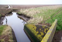 waterdoorgang zomerdijk Peazemerlannen 