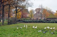 landgoed De Eese bij Steenwijk 1 (nov 2010) 