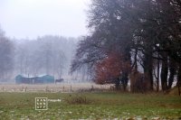 Stroomdal Drentsche Aa - Bochtig pad onder de bomen