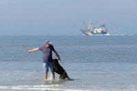 strand Oosterend 2 