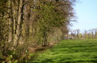 oostzijde Fogelsangh State Koningsweg Veenklooster (29 april '17) 