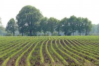 landgoed Dickninge De Wijk Reestdal Overijssel 3 (mei 2016) 