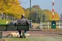 herfstzon Zuiderbolwerk Dokkum (22 okt '12) 