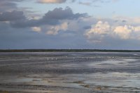 de rode vuurtoren en witte watertoren van Schiermonnikoog 2 sep 2019 