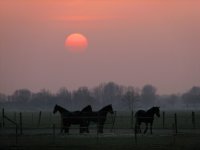 Noordhorn avondzon 2007