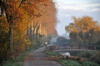 herfstige ochtendzon Damwaldsterreedsje Dokkum (15 nov '12) 